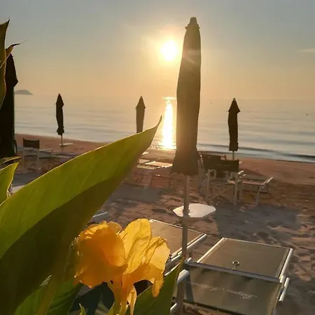 Trilocale Ristrutturato A 200m Dal Mare:vinci246 Алассио